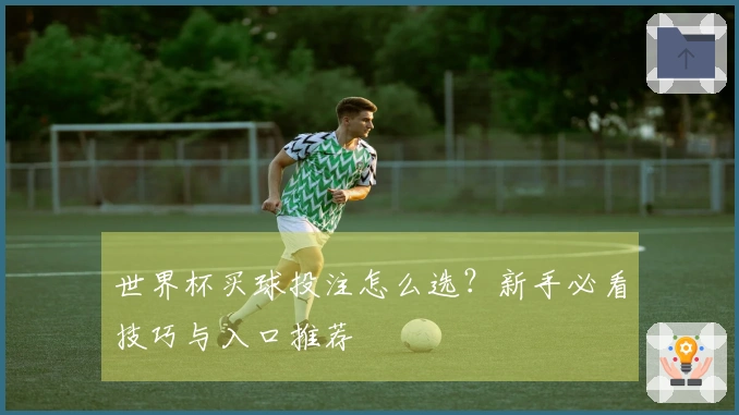 世界杯买球投注怎么选？新手必看技巧与入口推荐