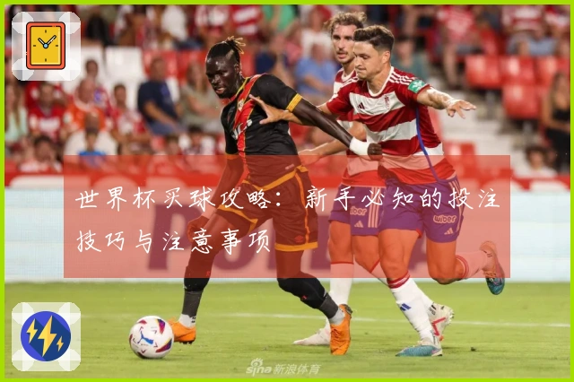 世界杯买球攻略：新手必知的投注技巧与注意事项