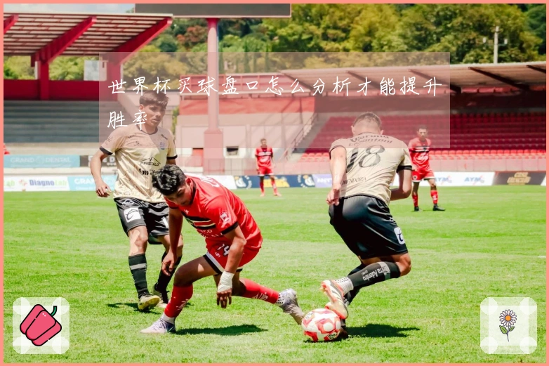 世界杯买球盘口怎么分析才能提升胜率
