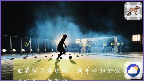 世界杯买球攻略：新手必知的投注技巧与注意事项