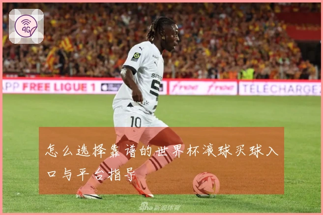 怎么选择靠谱的世界杯滚球买球入口与平台指导