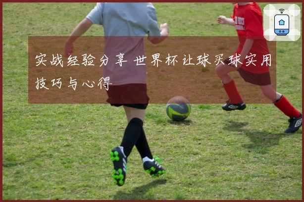 实战经验分享 世界杯让球买球实用技巧与心得